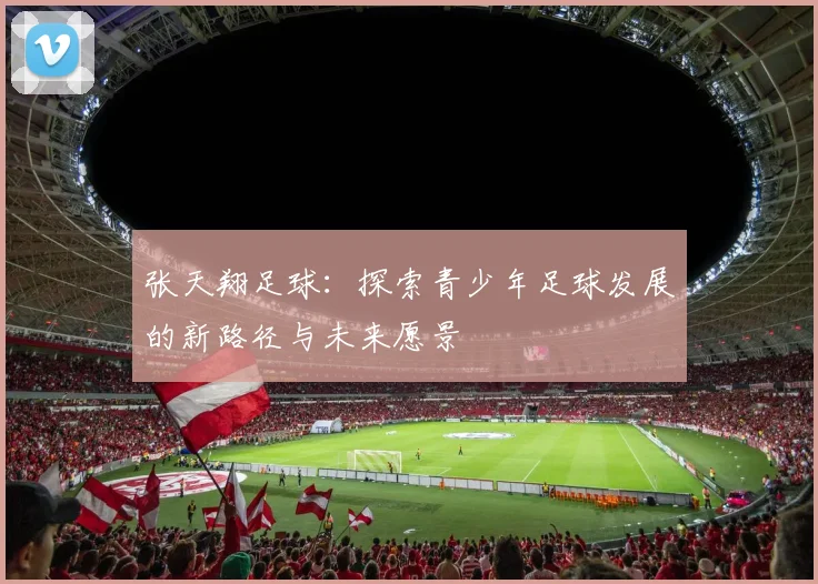 张天翔足球：探索青少年足球发展的新路径与未来愿景