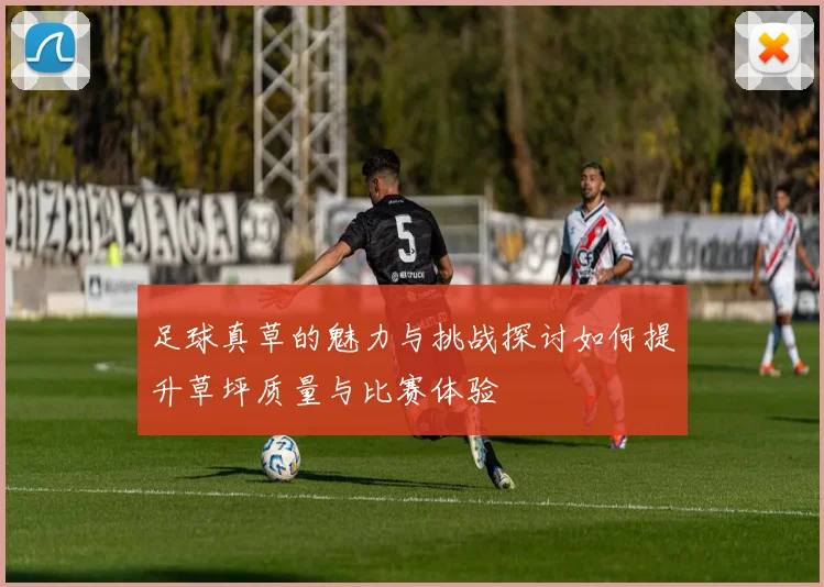 足球真草的魅力与挑战探讨如何提升草坪质量与比赛体验